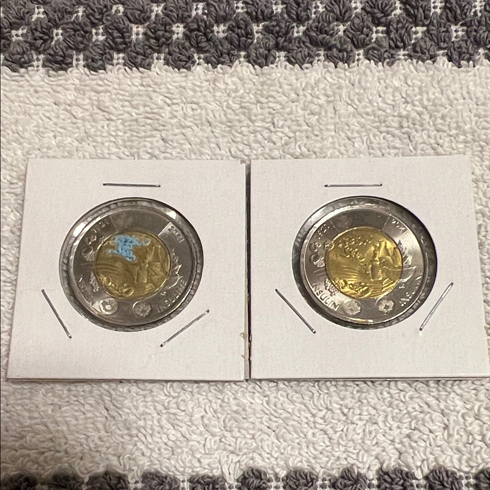 2021 Canadian Toonie